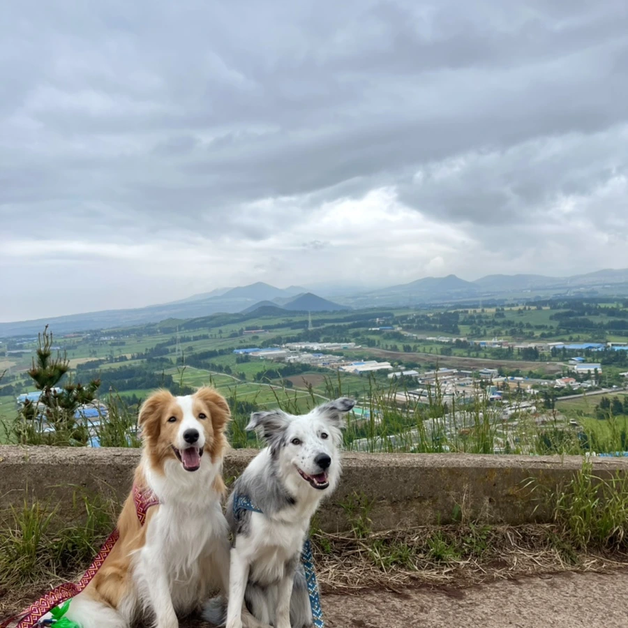 IMG_4401.jpg?type=w966