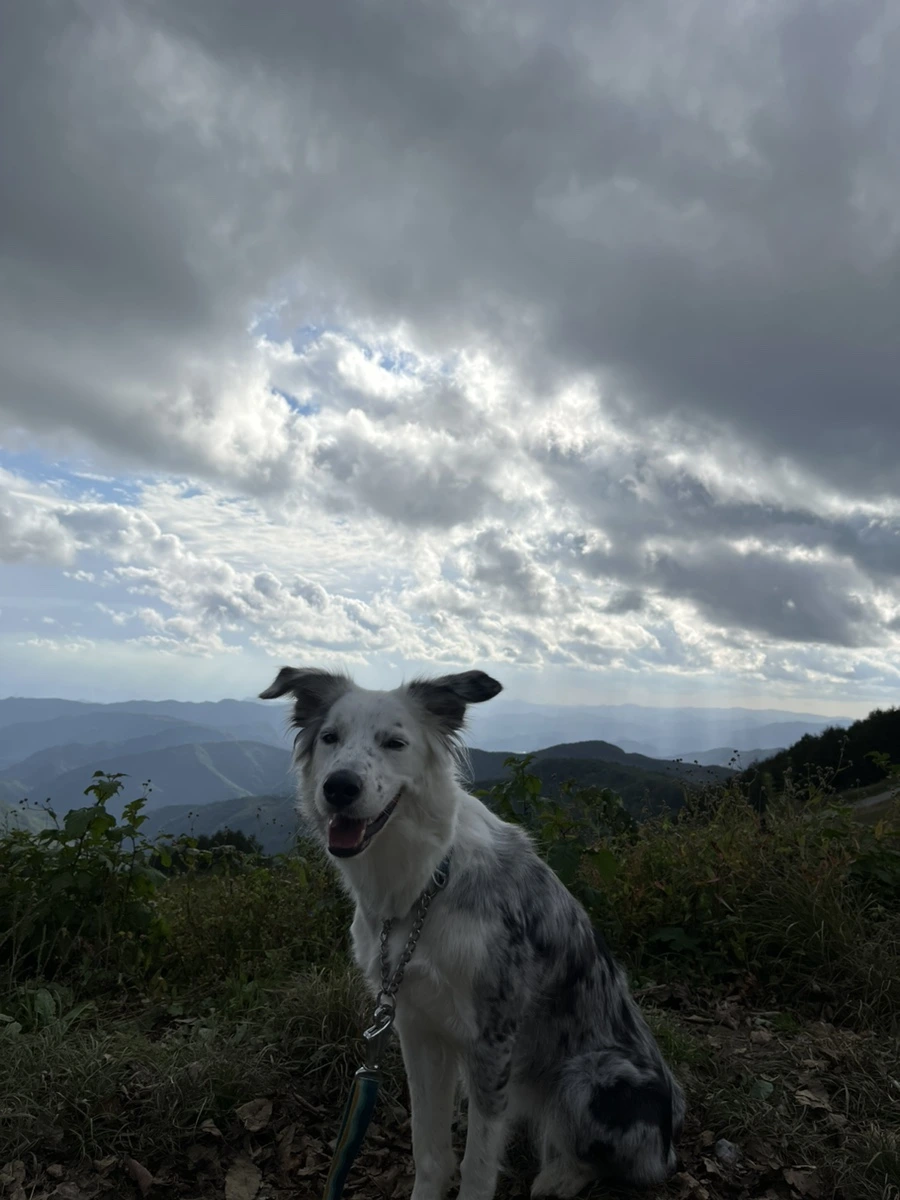 IMG_9572.jpg?type=w966