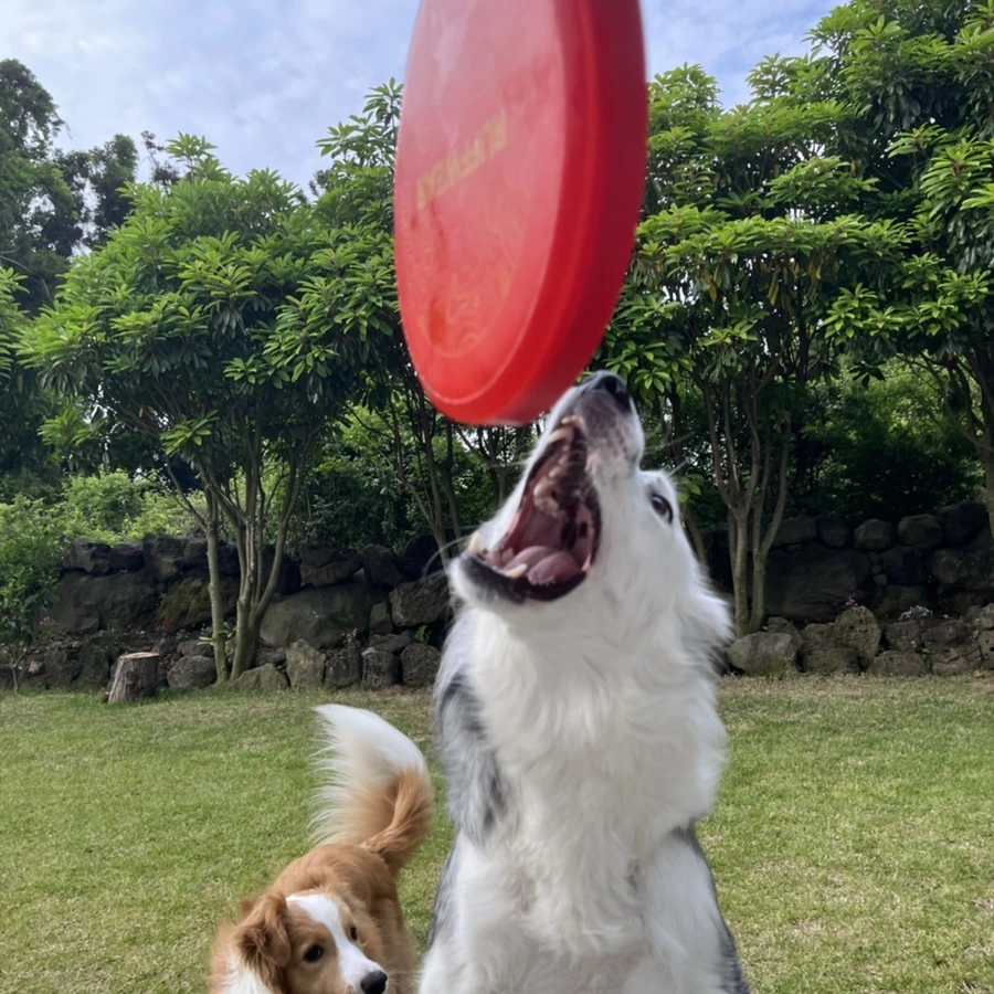 IMG_3899.jpg?type=w966