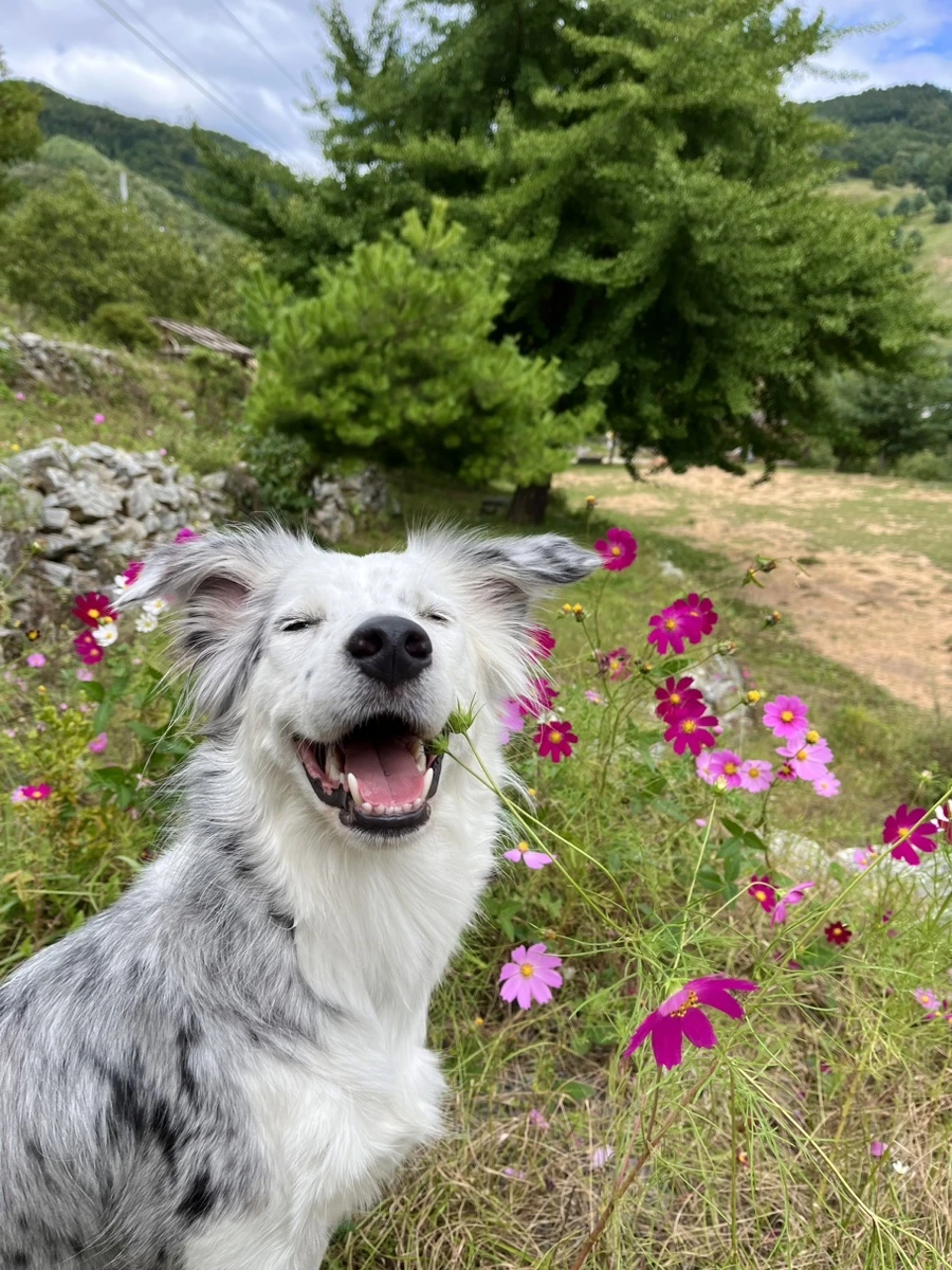 IMG_9345.jpg?type=w966