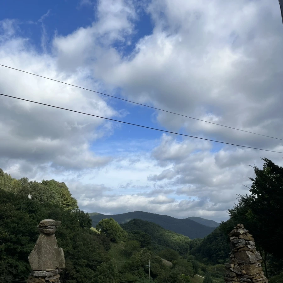 IMG_9276.jpg?type=w966