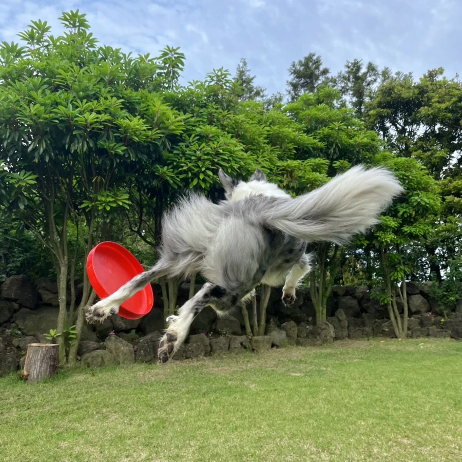 IMG_3919.jpg?type=w966