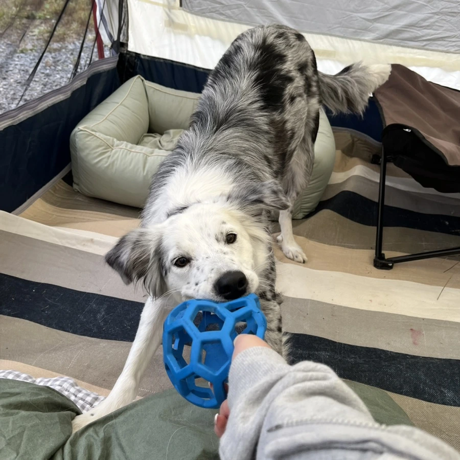 IMG_9347.jpg?type=w966