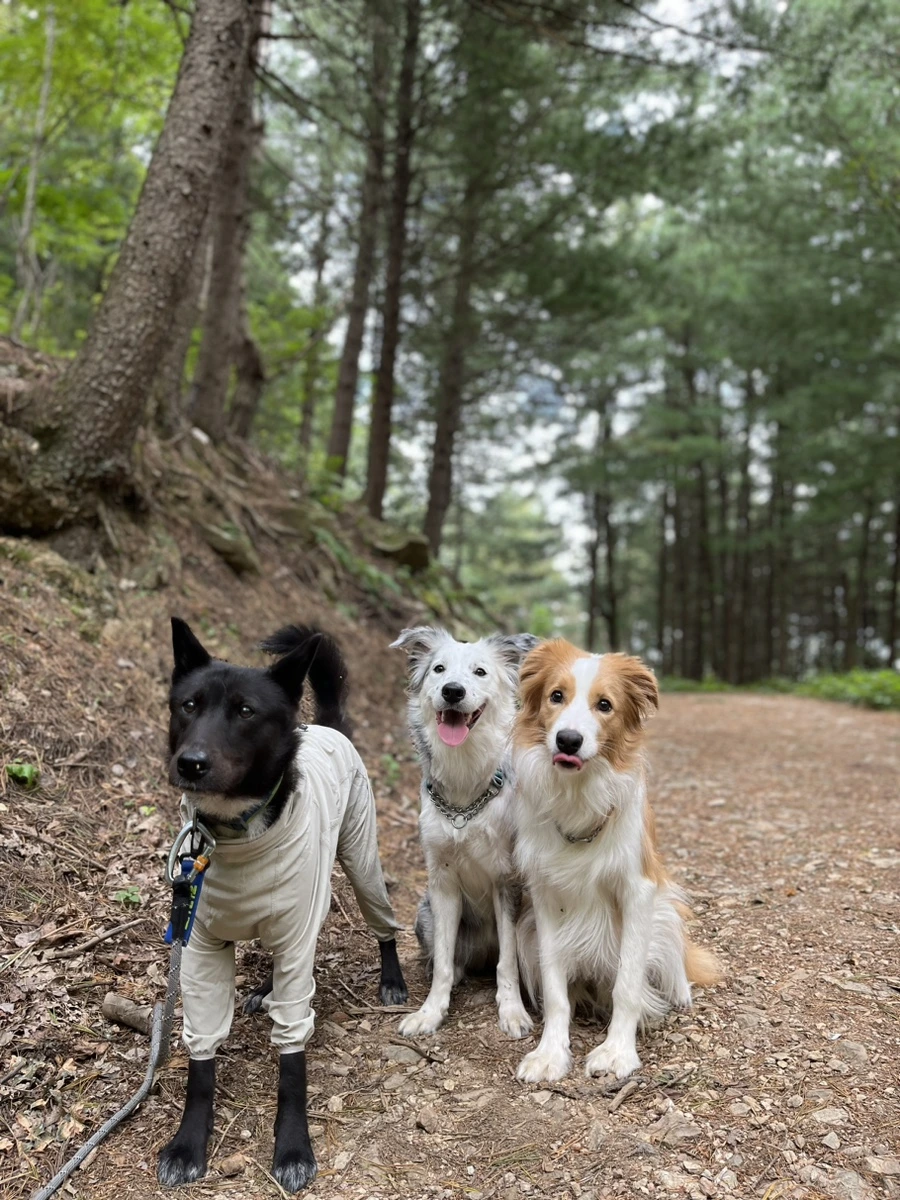 IMG_9367.jpg?type=w966