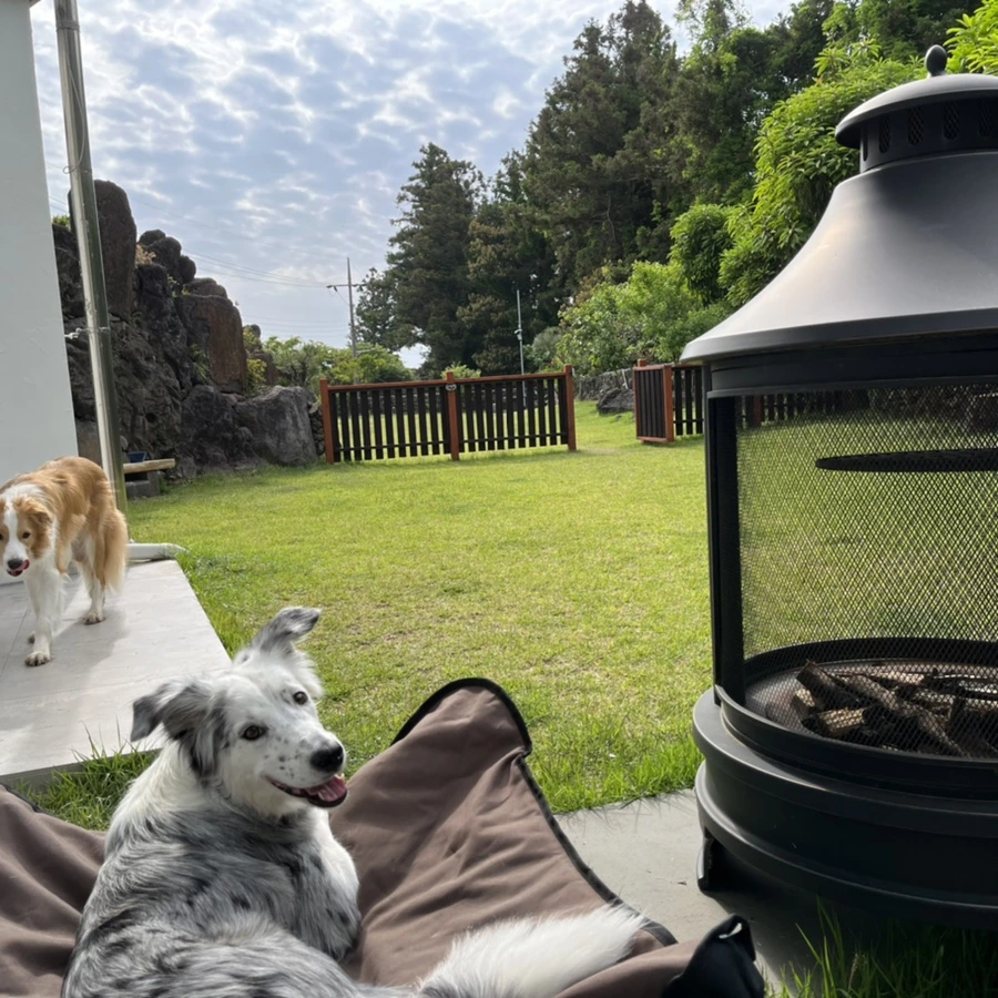 IMG_4046.jpg?type=w966