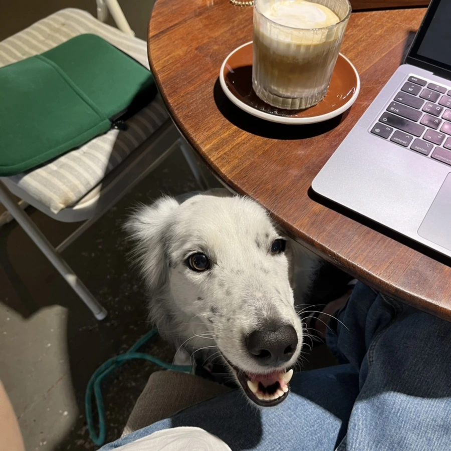 IMG_4496.jpg?type=w966