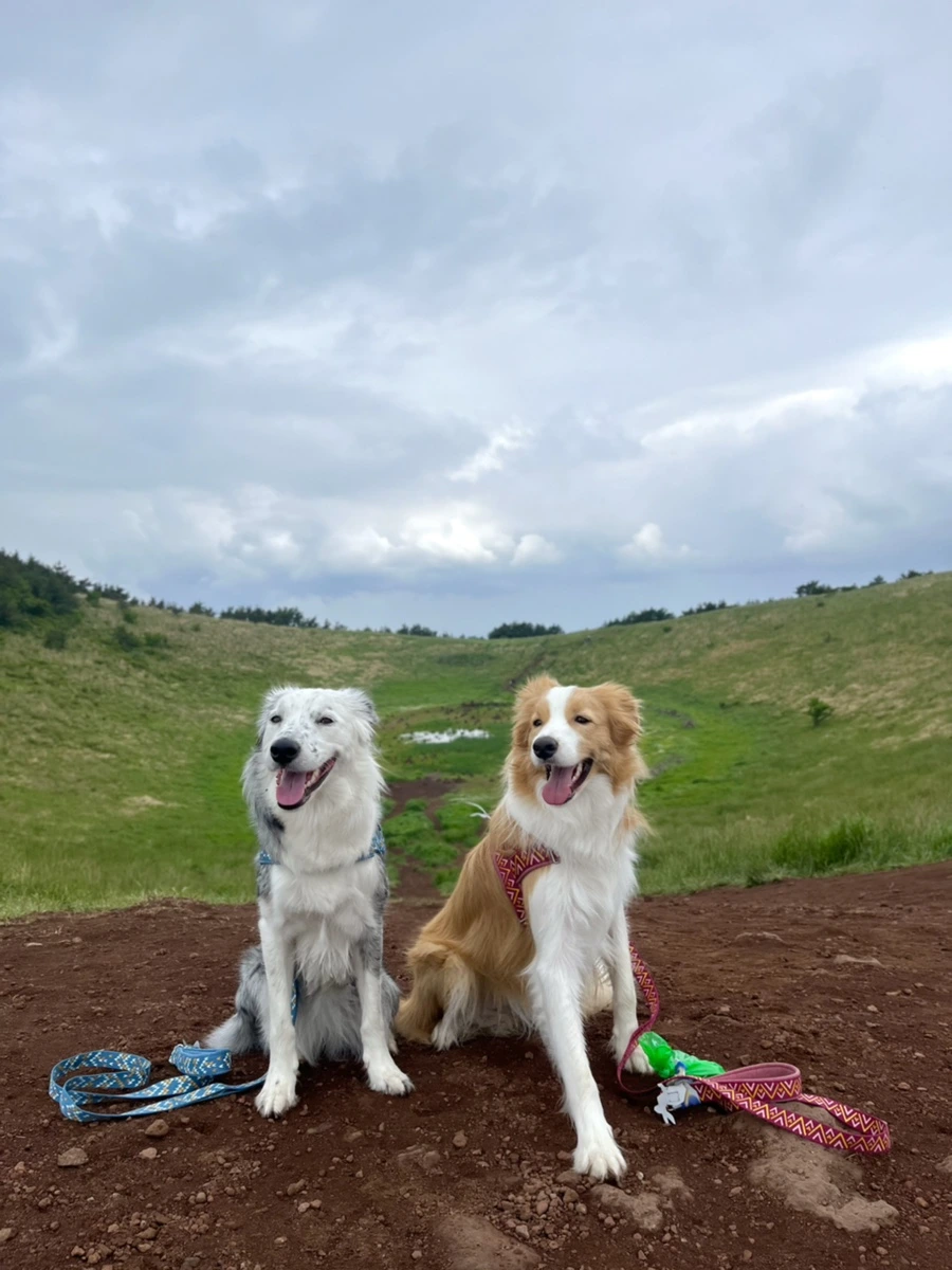 IMG_4226.jpg?type=w966