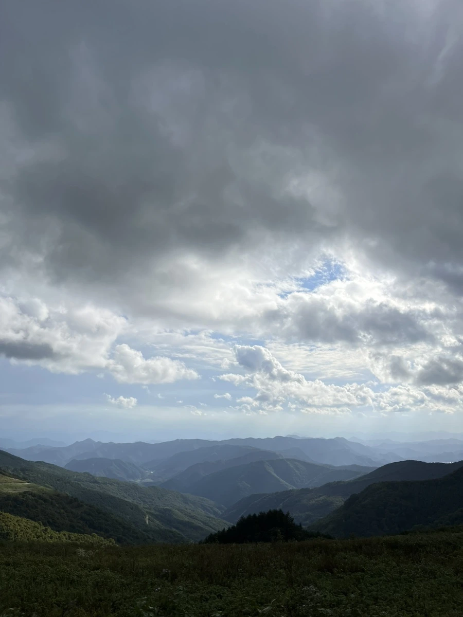 IMG_9552.jpg?type=w966