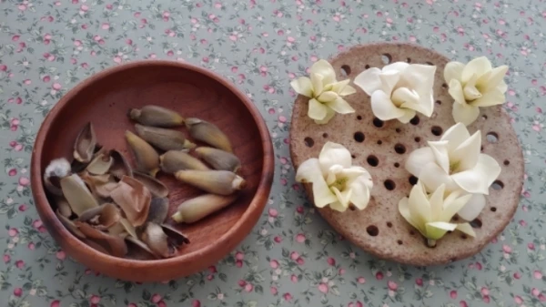 다운로드 (1).jpeg