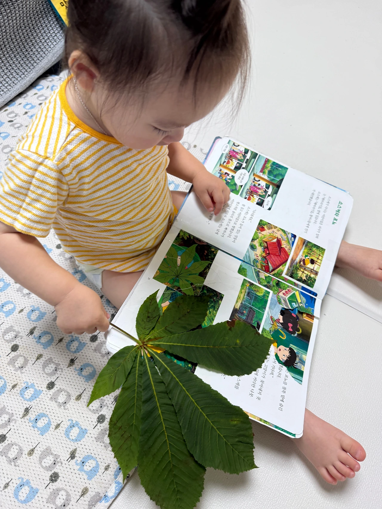 둘째23개월_책놀감5.jpeg