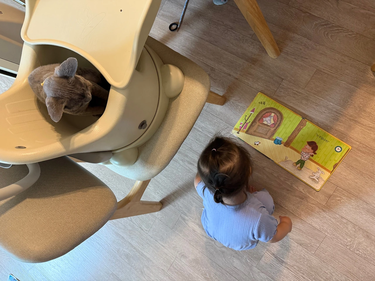 둘째24개월_책놀감3.jpeg