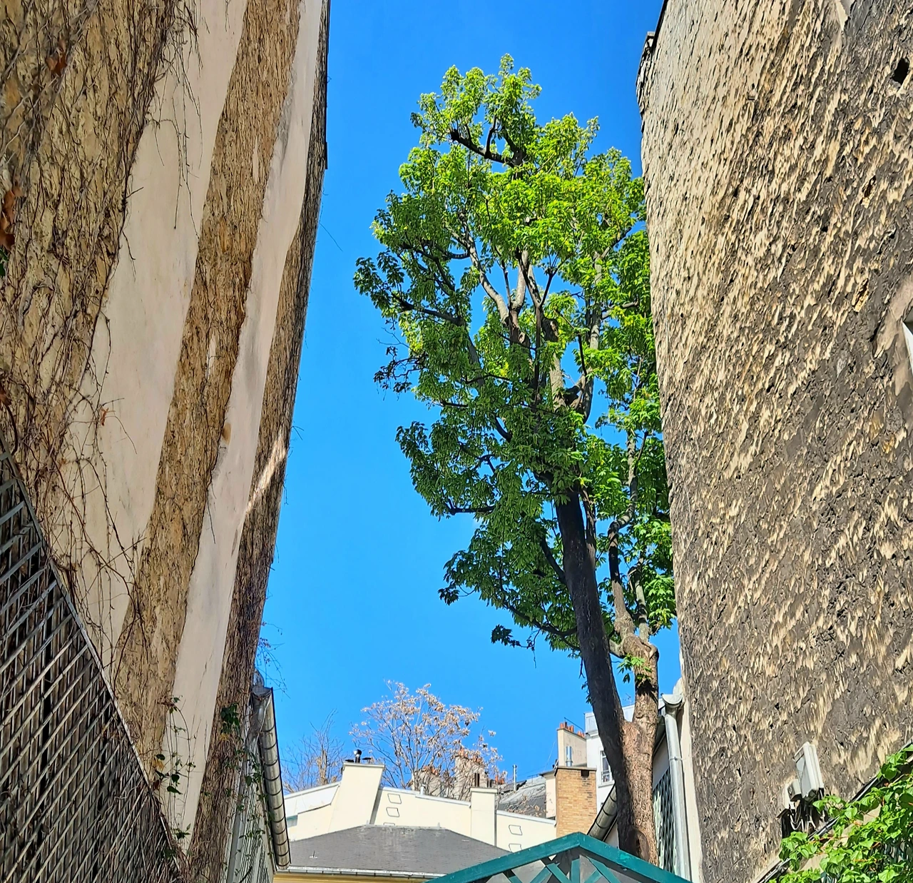 KakaoTalk_Photo_2023-04-26-03-16-32 003.jpeg