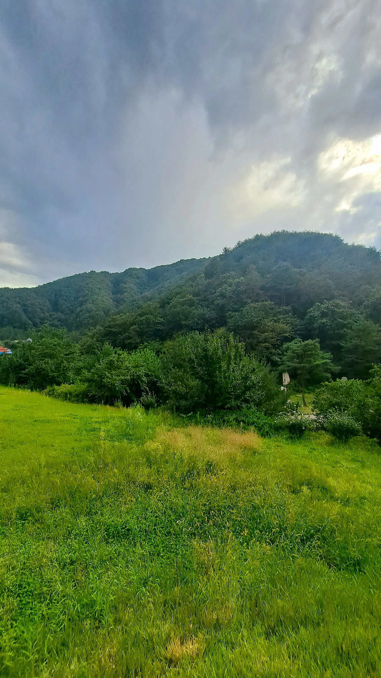 KakaoTalk_Photo_2023-09-14-19-49-57 002.jpeg