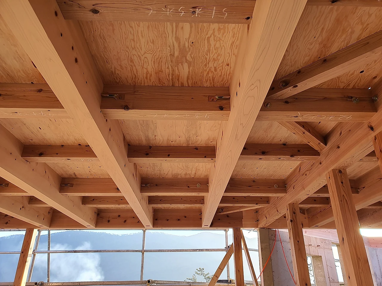 20200121_082716.jpg?type=w1600