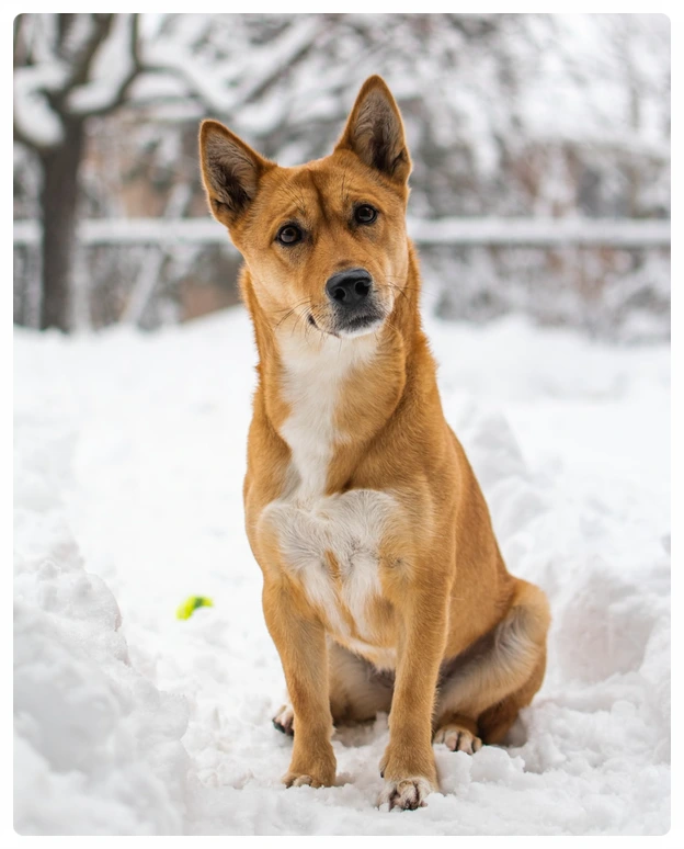 SE-1fcafb2a-a160-487f-9226-defeba3ce17b.jpg?type=w773