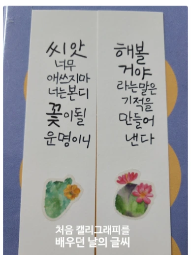 SE-30a29556-0d64-43f1-9546-c1ae97b85e22.jpg?type=w773