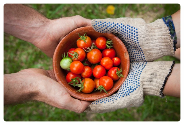 SE-74c93985-c0e3-4e62-9c5c-6558c18d6bd6.jpg?type=w773