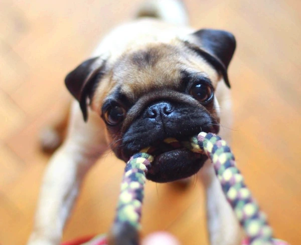 SE-14d72d54-c23a-4ea9-80d5-5652c9601d6e.jpg?type=w773