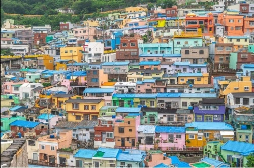 다운로드 (31).jfif