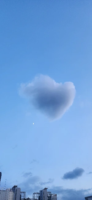 다운로드 (18).jfif