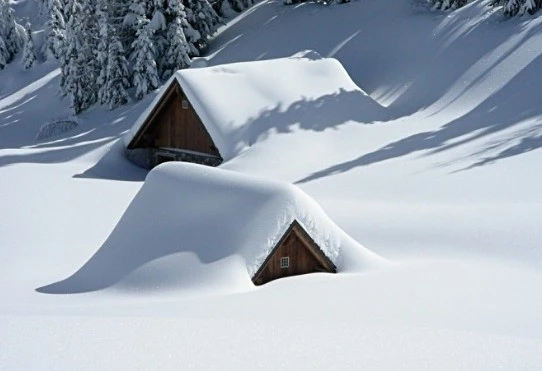 다운로드 (11).jfif