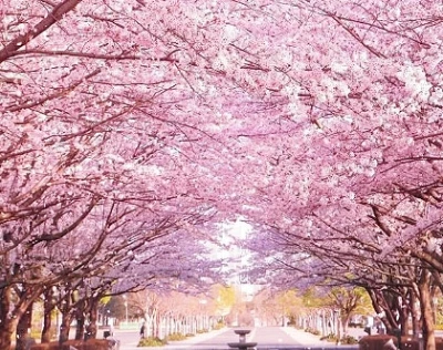 다운로드 (57).jfif