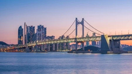 다운로드 (29).jfif