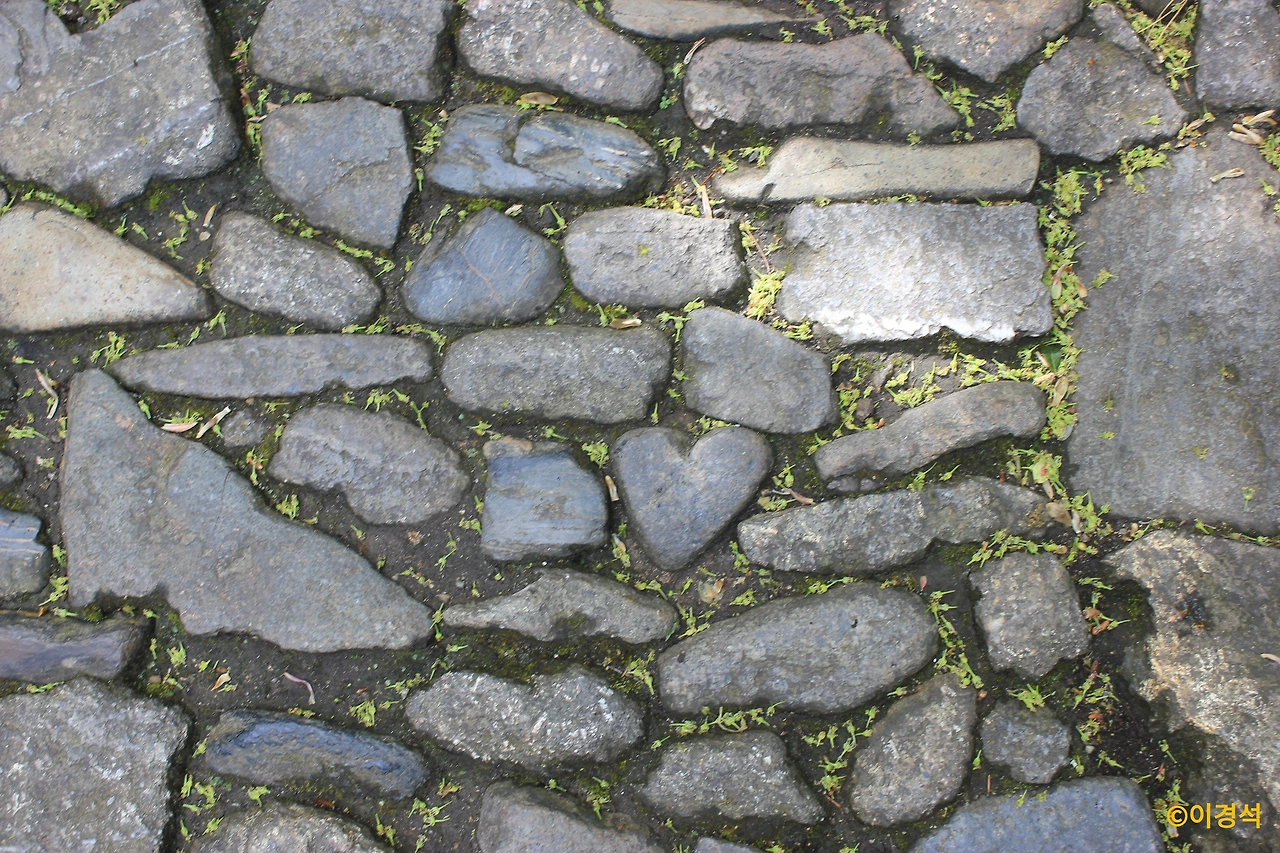 세인트마이클스마운트 (12).JPG