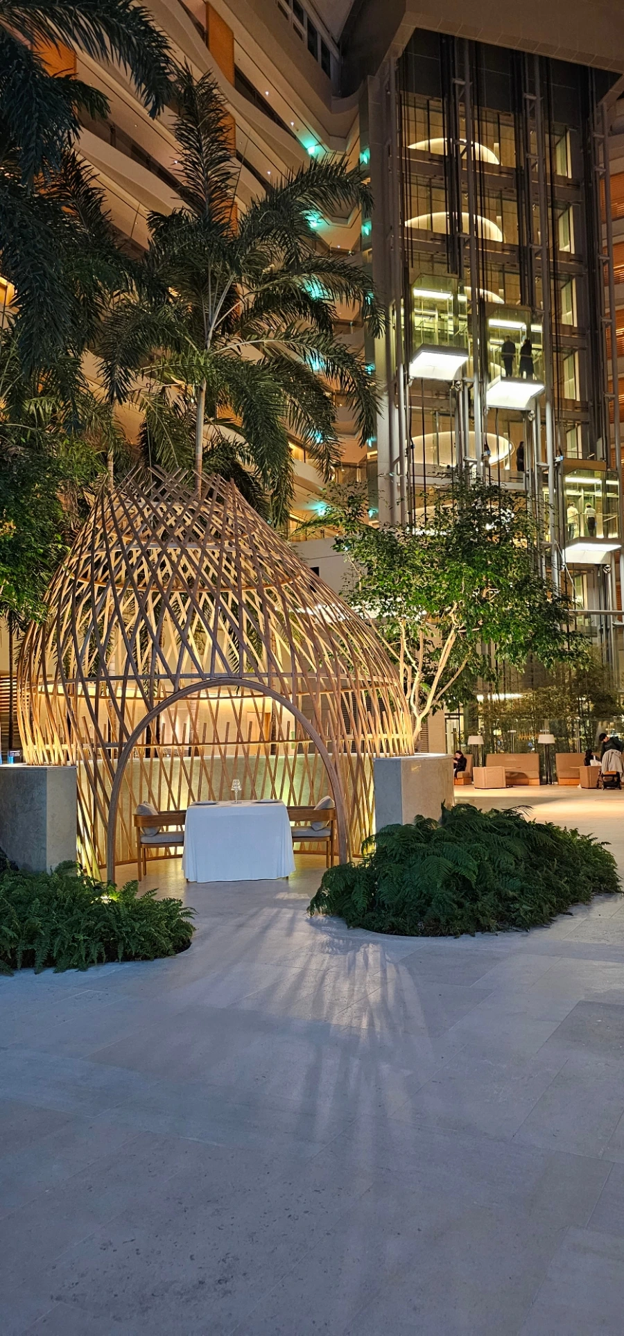 20231025%EF%BC%BF201750.jpg?type=w1