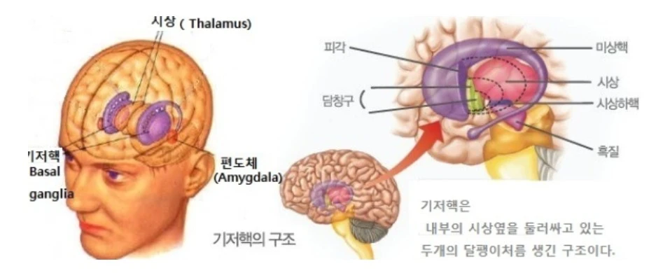 AD_4nXcY8QW1mAuf3gXmkHMq0UG1PX9WFJGLzt95WJcJCv9B4HFMUqt7Yi9EzNm51G6VqKaAyVkqeUGHhEb-JiycnAgNUX1lrELSzKb4Haf17cPE8F05EkKyZGBGoxgrDUWRgFz8Zo9pbw?key=S-KZv-y82TbJW6N1KU7mJg