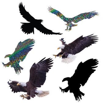 다운로드 (6).jfif