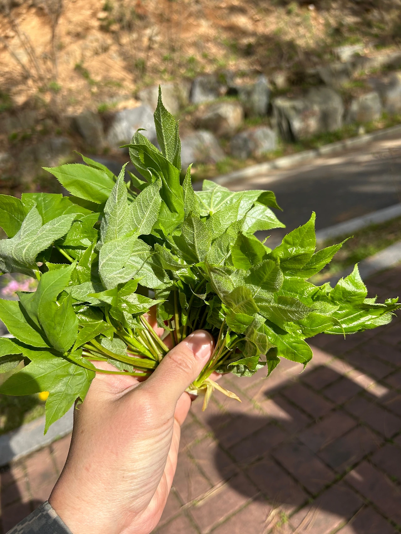 KakaoTalk_Photo_2023-04-15-12-16-51 019.jpeg