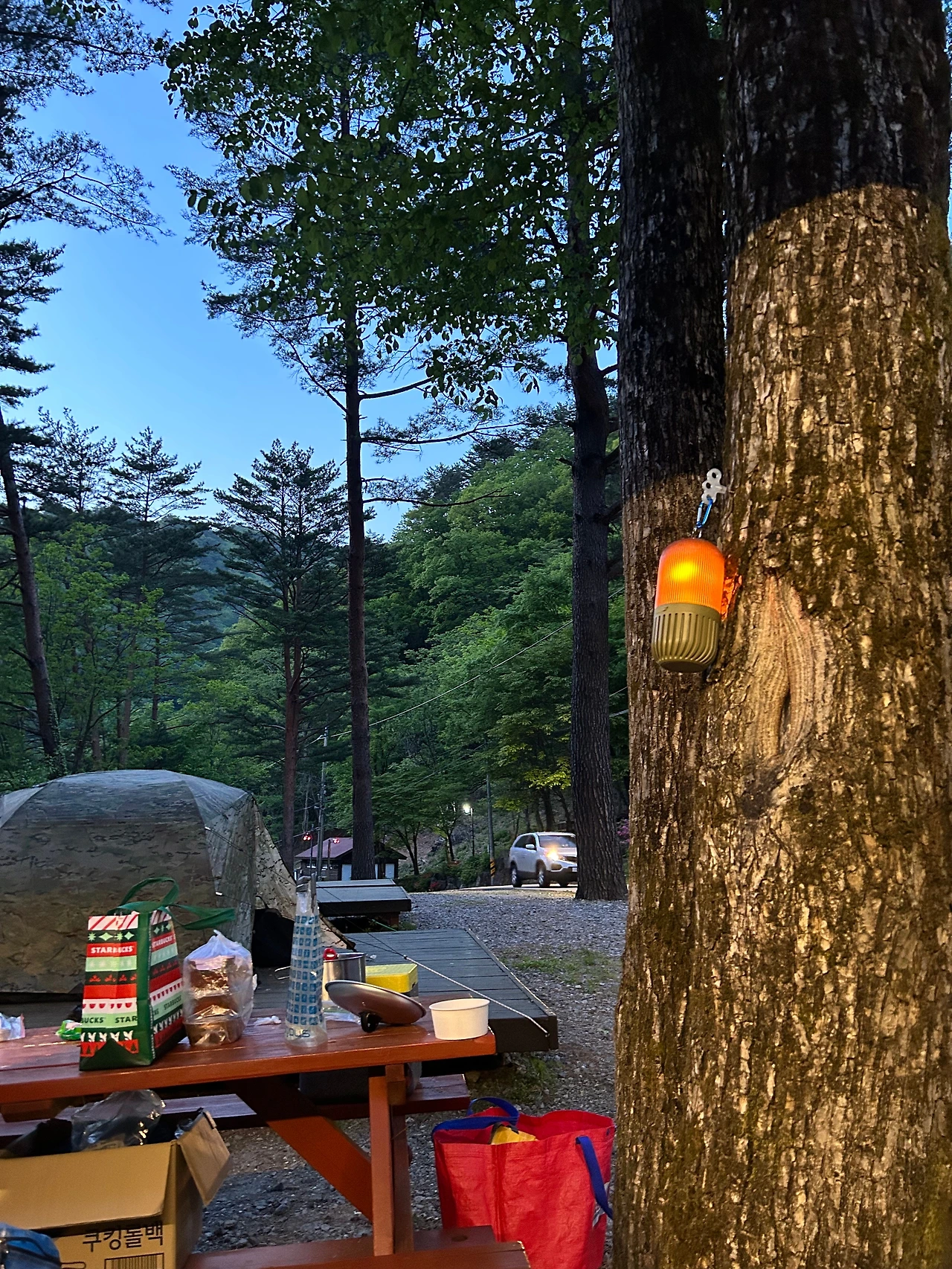 KakaoTalk_Photo_2023-05-22-09-00-11 013.jpeg