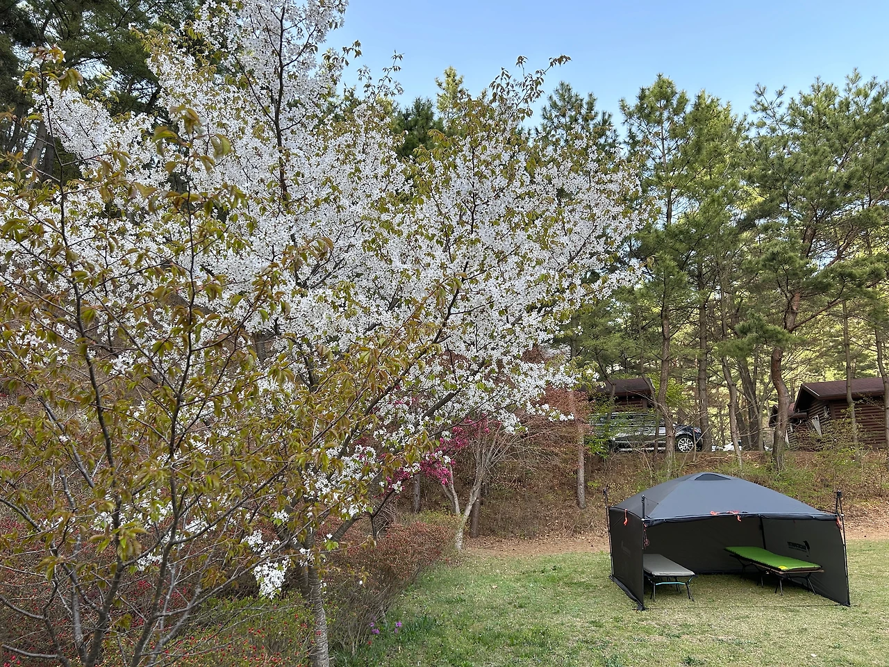 KakaoTalk_Photo_2023-04-15-12-16-51 023.jpeg