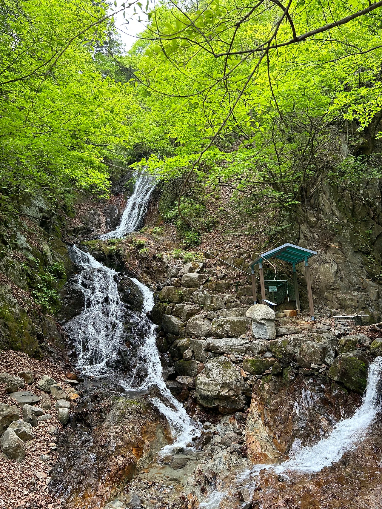 KakaoTalk_Photo_2023-05-22-09-04-13 004.jpeg