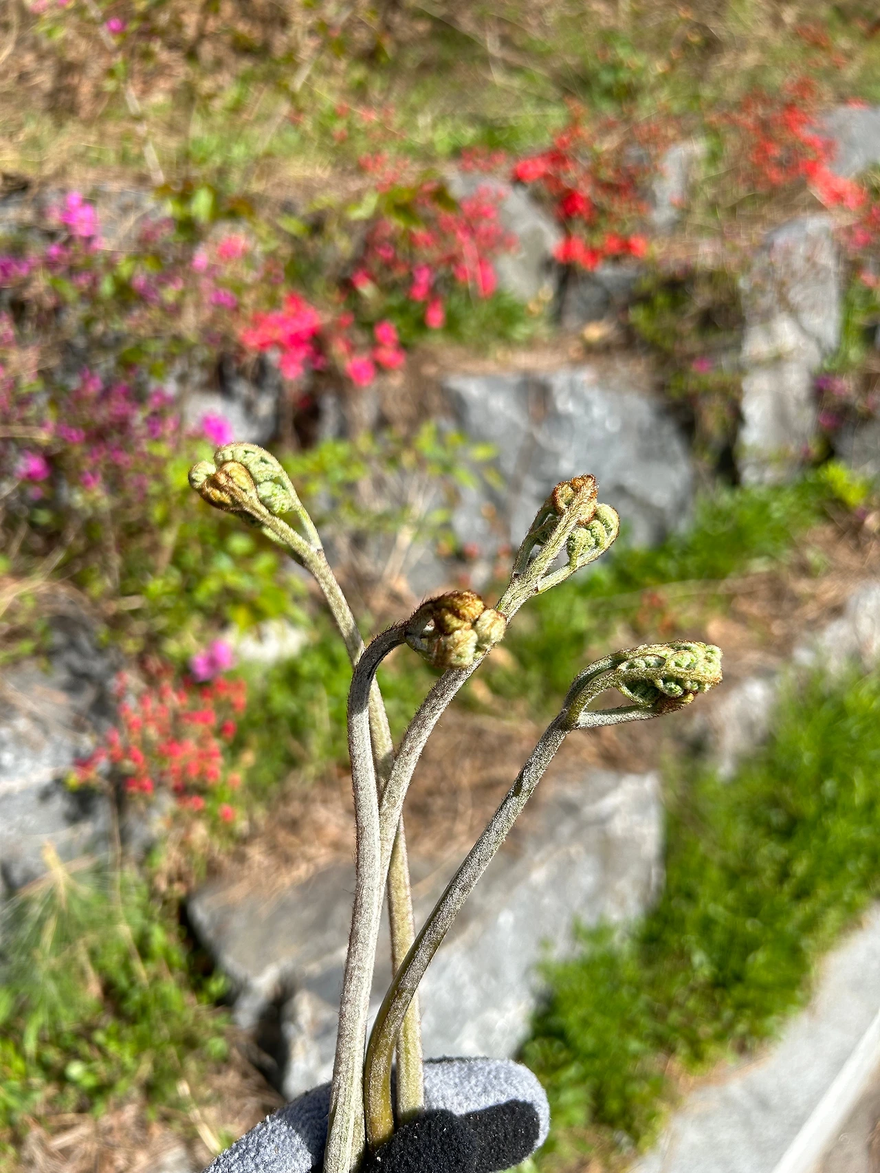 KakaoTalk_Photo_2023-04-15-12-16-51 018.jpeg