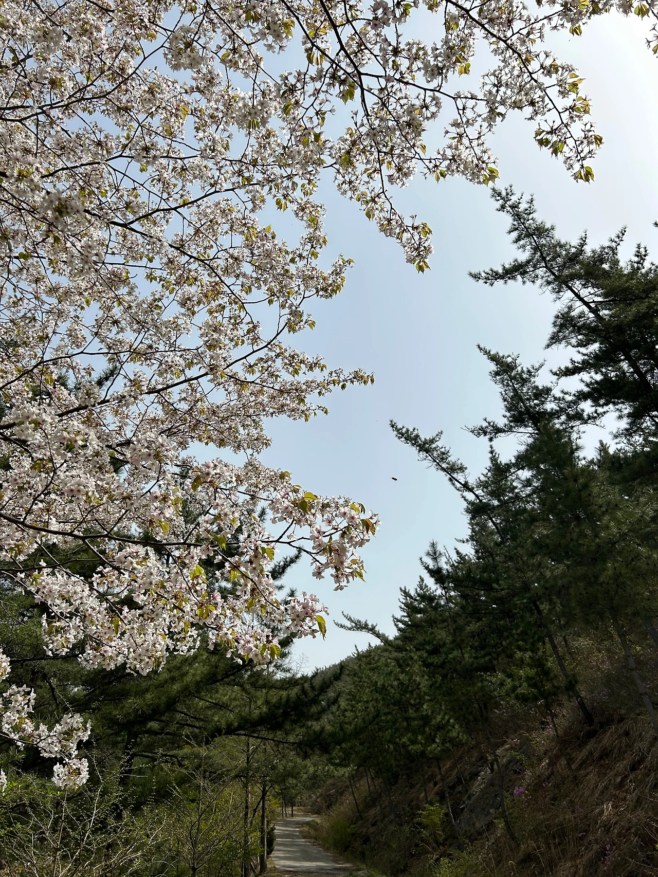 KakaoTalk_Photo_2023-04-15-12-18-05 006.jpeg