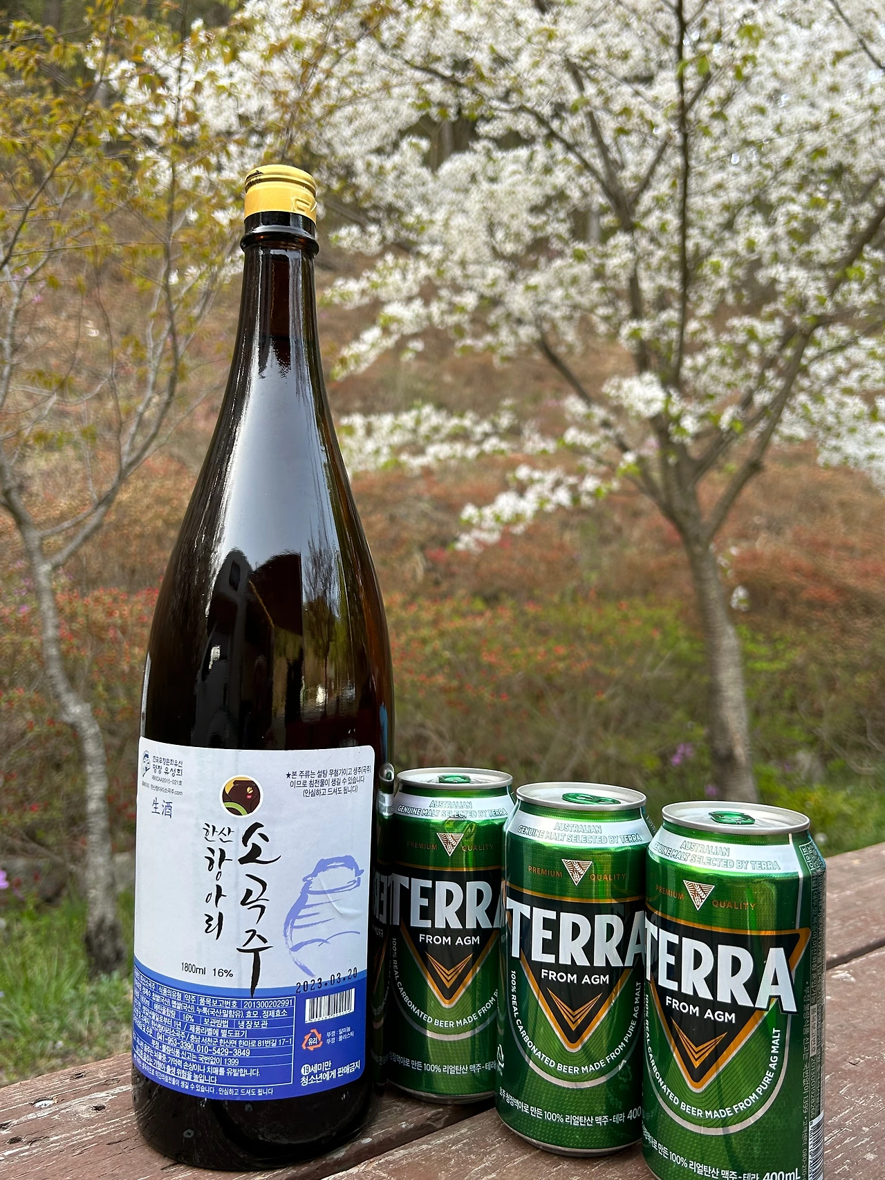 KakaoTalk_Photo_2023-04-15-12-16-51 020.jpeg