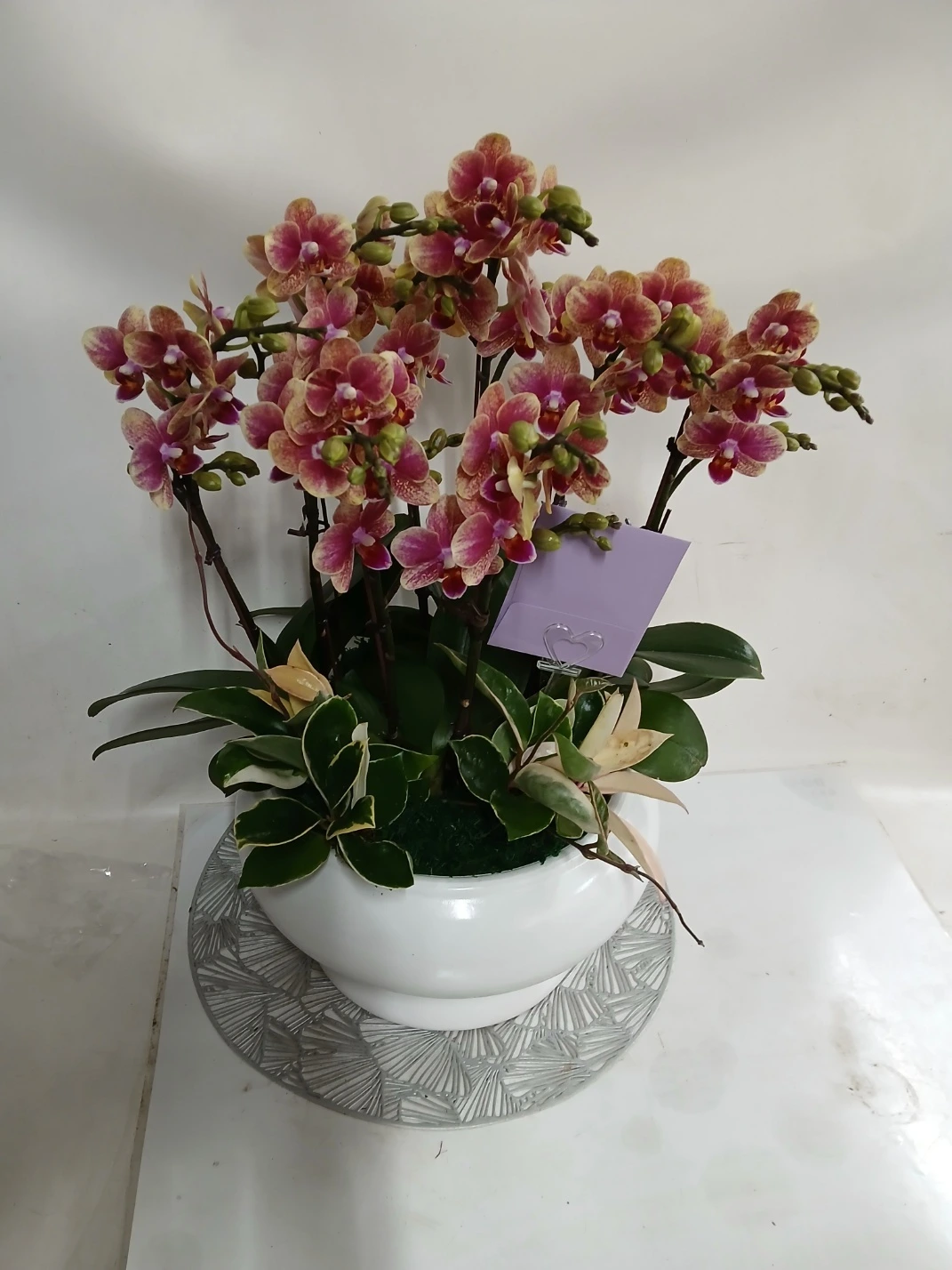 image.png?type=w1600