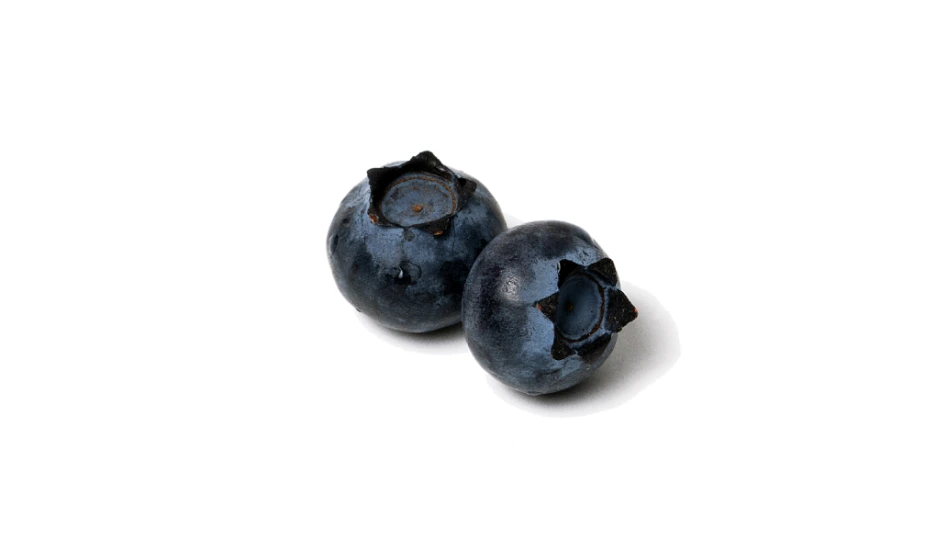 %EB%B8%94%EB%A3%A8%EB%B2%A0%EB%A6%AC-%ED%9A%A8%EB%8A%A5.png?type=w1