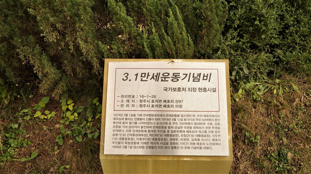 호저면 삼일만세운동기념비 안내판.JPG