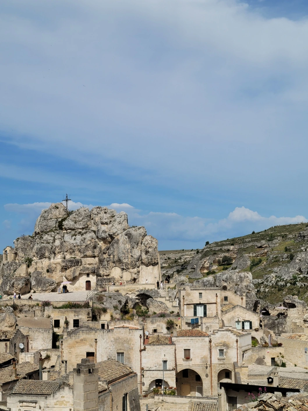 Sassicaia 2020 (사시카이아 2020)