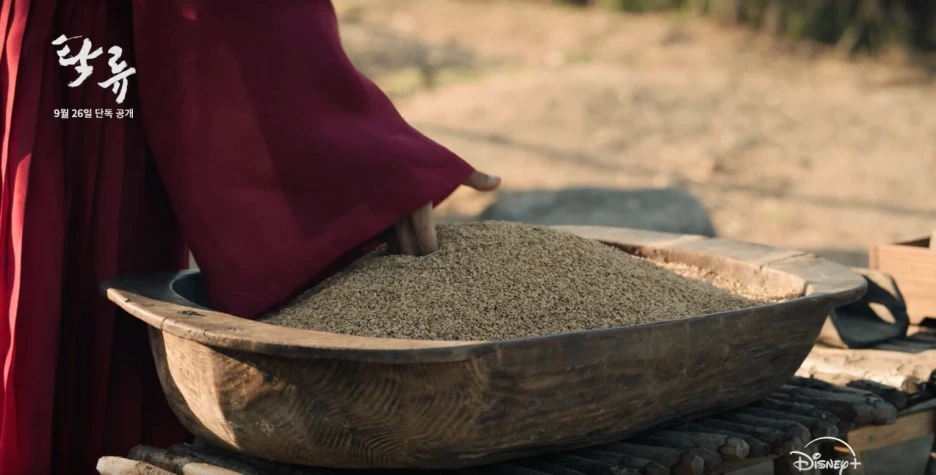 20251013104502.png?type=w1