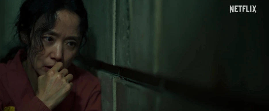 20251202094328.png?type=w1