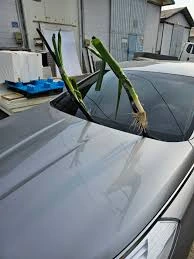 vjAcSMNitpDqZ1O-VCp1DhcljGLMAp7h5WhXtBqezIzIpDI_2RNl2XPOqXaIWuDmwssRgeTAZC8A0SXk32Z9K5XPjqVkuCO7EsBo2aa4oBu0BzB_wRtY8YEPMj_mx6R73SEZhoIlUrjr1qIV0tFULas