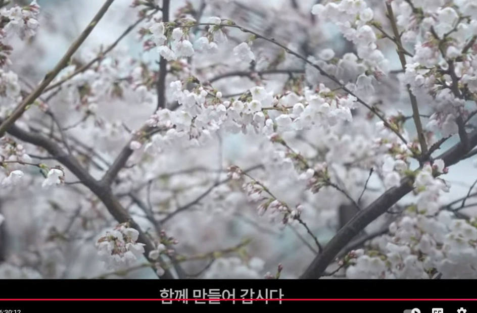 AD_4nXc5q2IcIoIyg89VmHM5FjGr6z7pxOdAq4U6W0AEf3gwOgB23jcZdwIWcS-nViL1EUt_akVl29Fd9Caxsth471aLGs8Gj-0O2Deifa1ErsDF77xYVV4SVCat9inNNpULSFioaQjI?key=gGp6xwkTaSsAv9lfLy4j8w