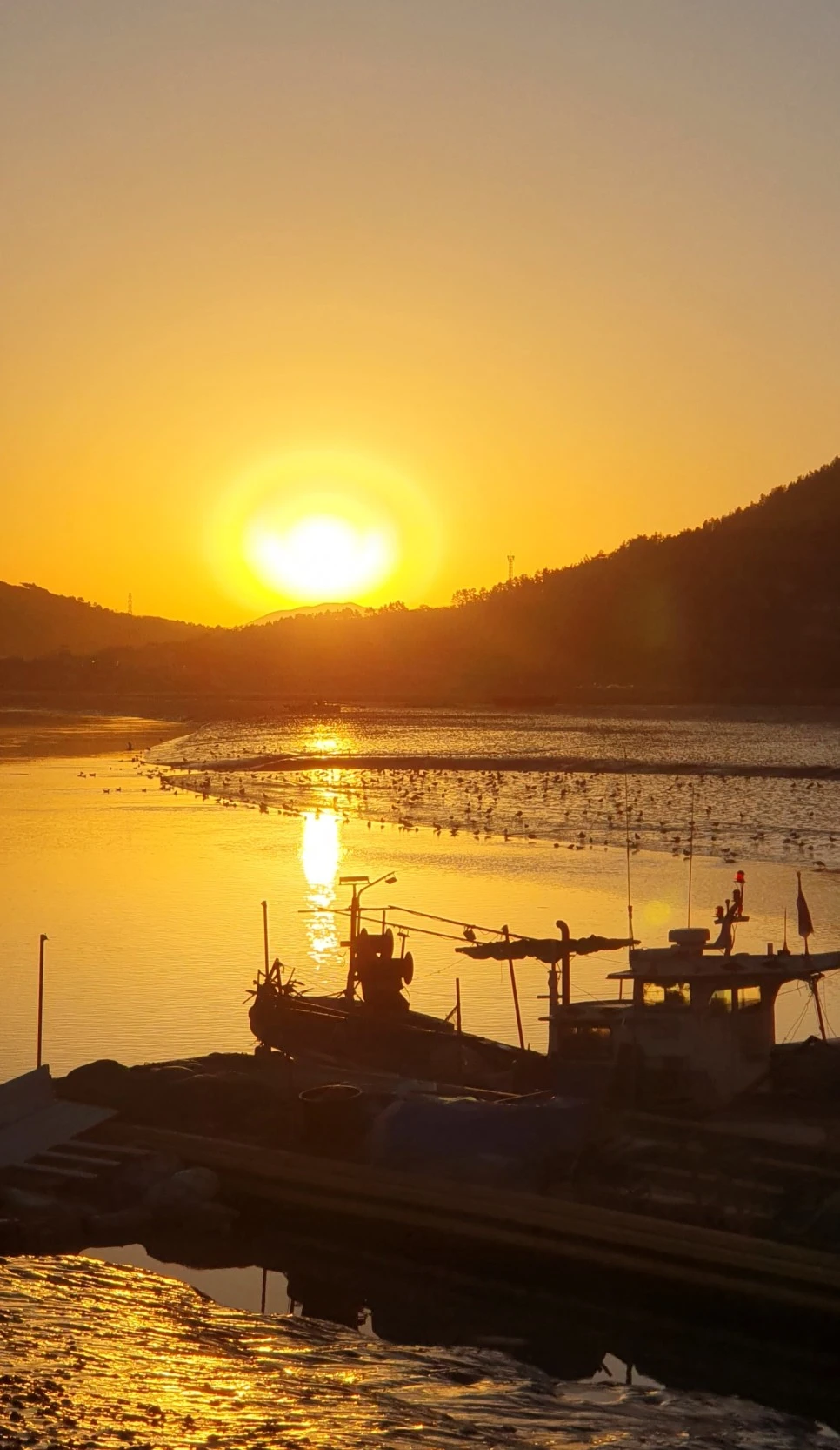 20221127_073758.jpg?type=w966