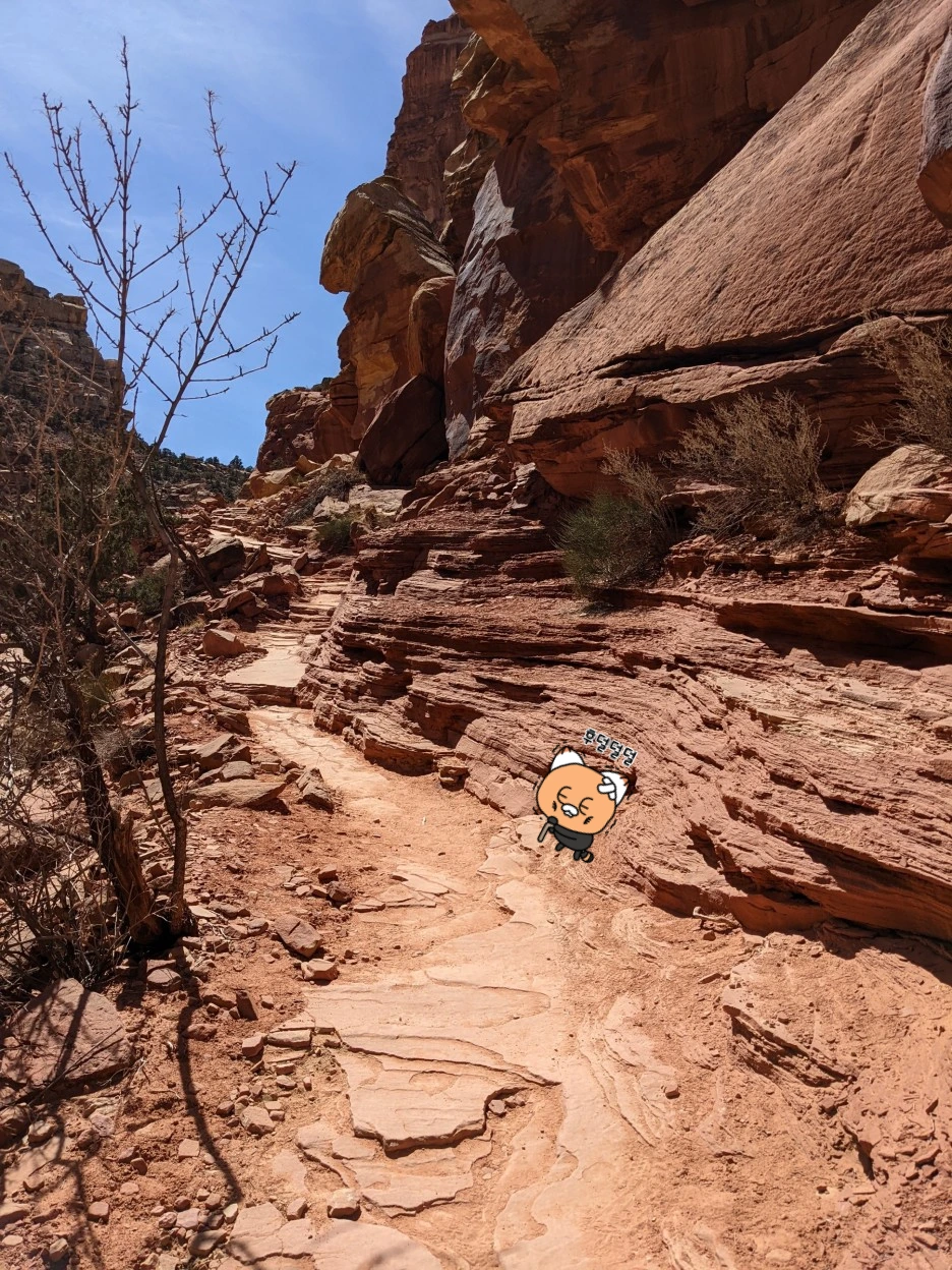 cassidy_trail.jpg?type=w1