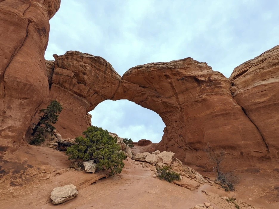 PXL_20220328_2326219922.jpg?type=w1