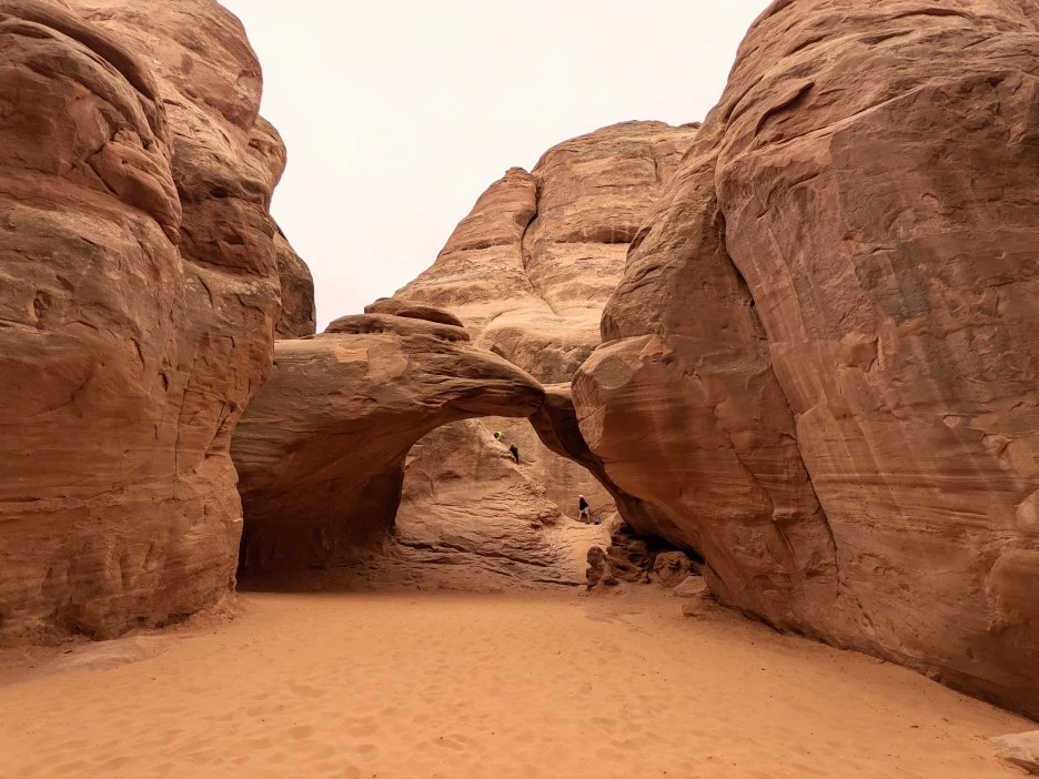 PXL_20220328_2309203912.jpg?type=w1